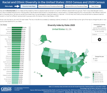 Diversity Index Data Viz