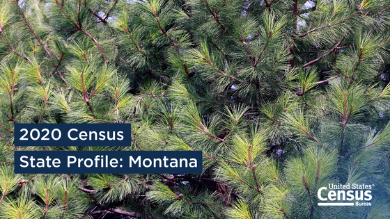 2020 Census State Profile: Montana