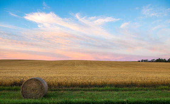 North Dakota State Anniversary