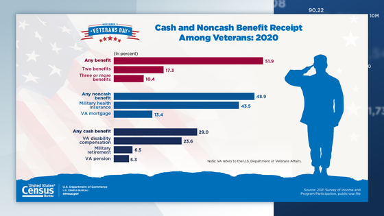 Cash and Noncash Benefit Receipt Among Veterans: 2020