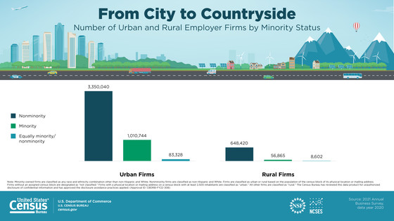 2021 Annual Business Survey Graphic