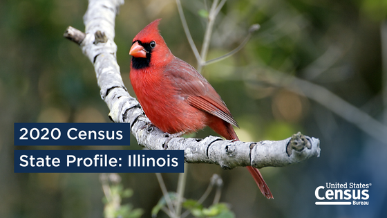 2020 Census: State Profile: Illinois