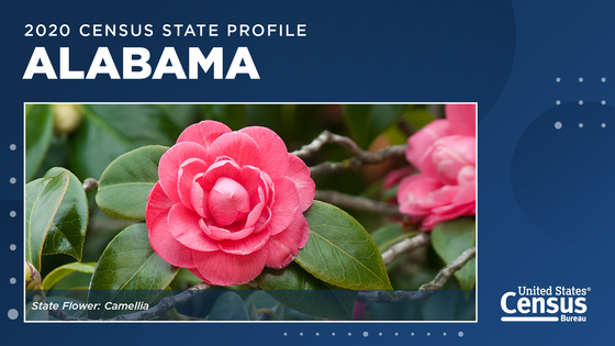 A camellia, the state flower of Alabama