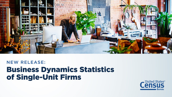 Business Dynamics Statistics of Single-Unit Firms