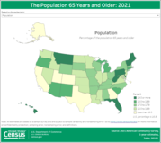 65 Years and Older: 2021
