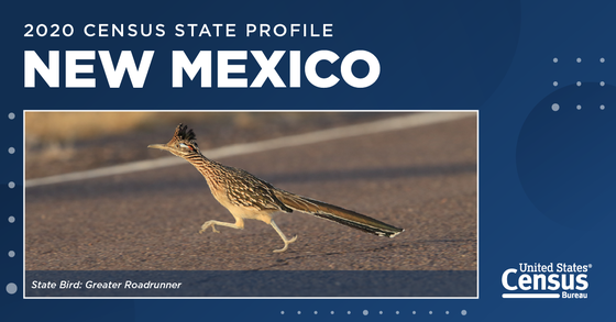 A greater roadrunner, the state bird of New Mexico