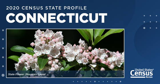 Mountain laurels, the state flower of Connecticut