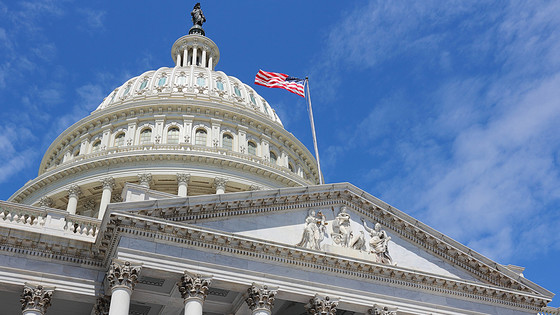 The U.S. Capitol Building