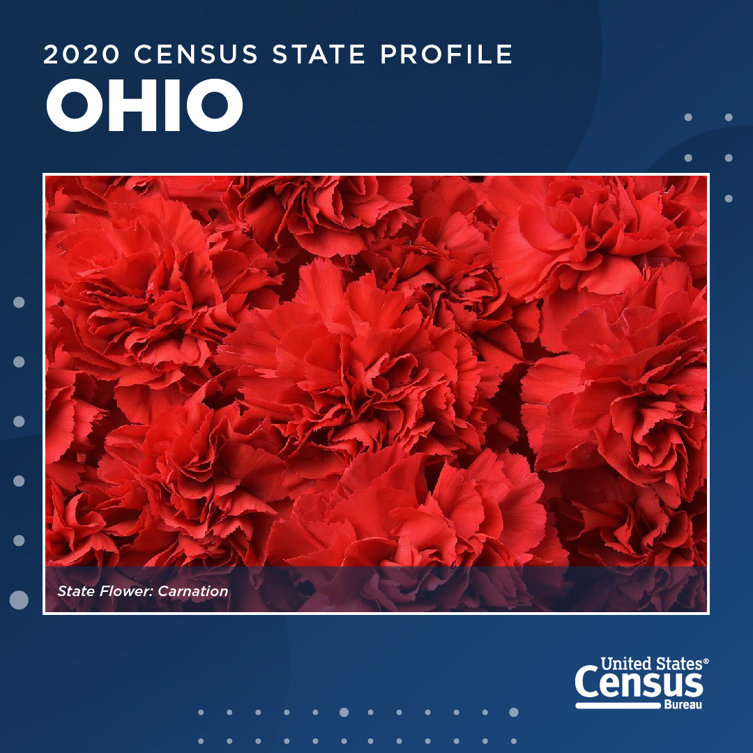 Red carnations, the state flower of Ohio