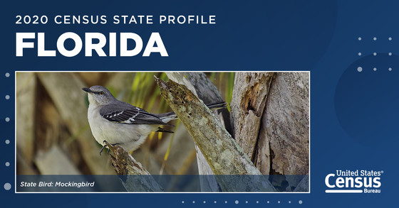 A mockingbird, the state bird of Florida
