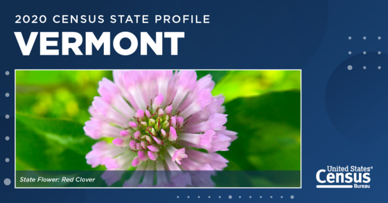 A red clover, the state flower of Vermont