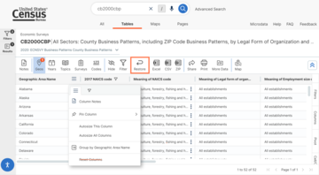 A screenshot of County Business Patterns data