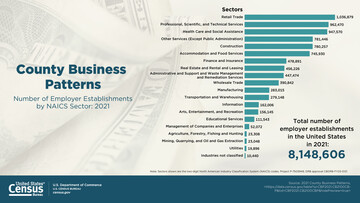 2021 County Business Patterns