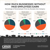 Non-Employer Statistics by Demographic Characteristics