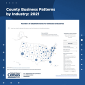 County Business Patterns by Industry 2021