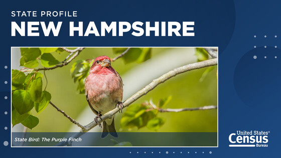 New Hampshire State Bird