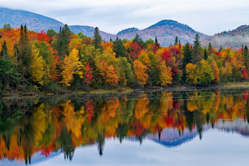 Colorful New Hampshire Foliage along the Androscoggin River in White Mountains National Forest