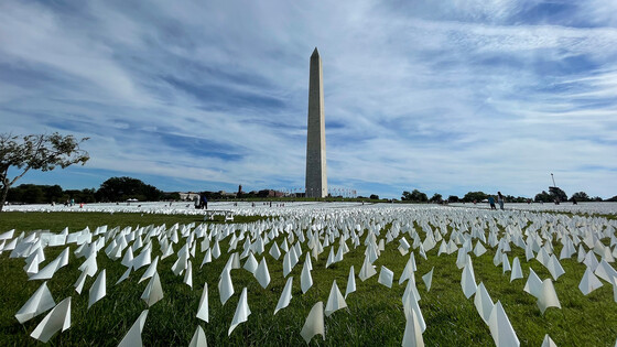 Hundreds of thousands of white flags on the National Mall, representing the COVID-19 death toll of Americans.