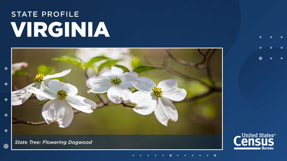 State Profile of Virginia