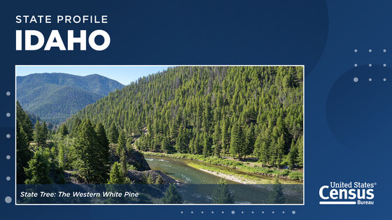 Idaho's State Profile