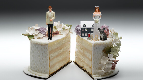 A wedding cake split in half with a groom cake topper on one side and cake toppers of a bride, a house and pets on the other side.