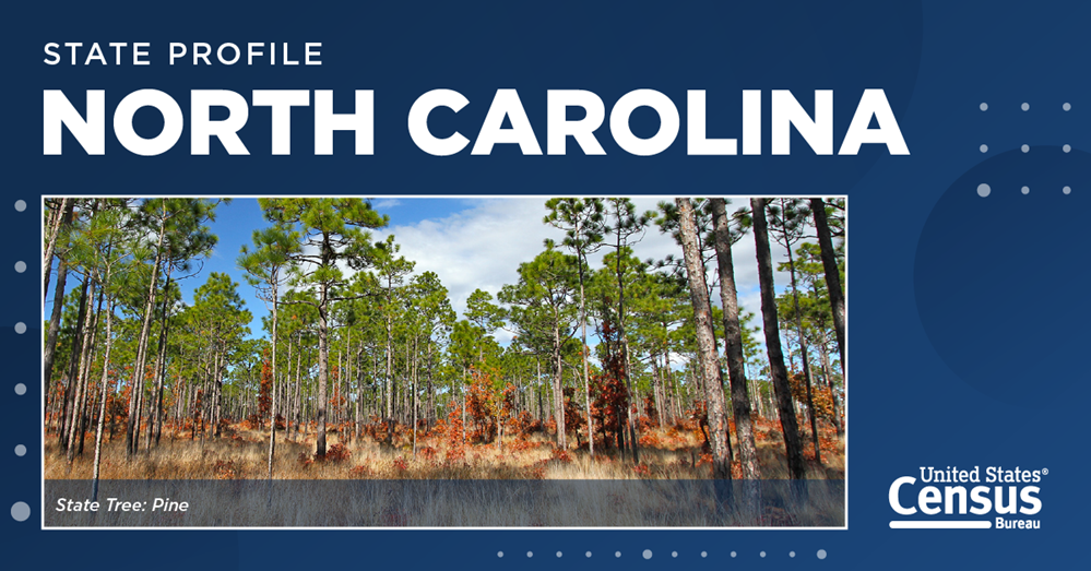 Pine trees, the state tree of North Carolina