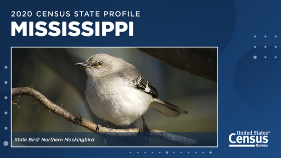 Mississippi State Profiles 