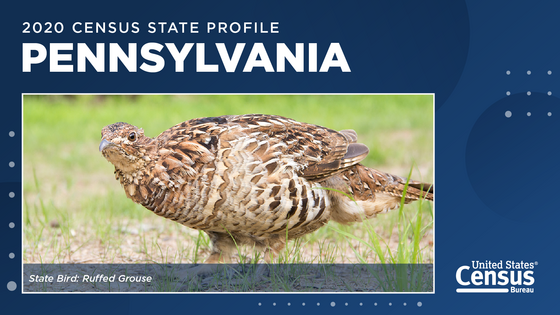 Pennsylvania State Profile