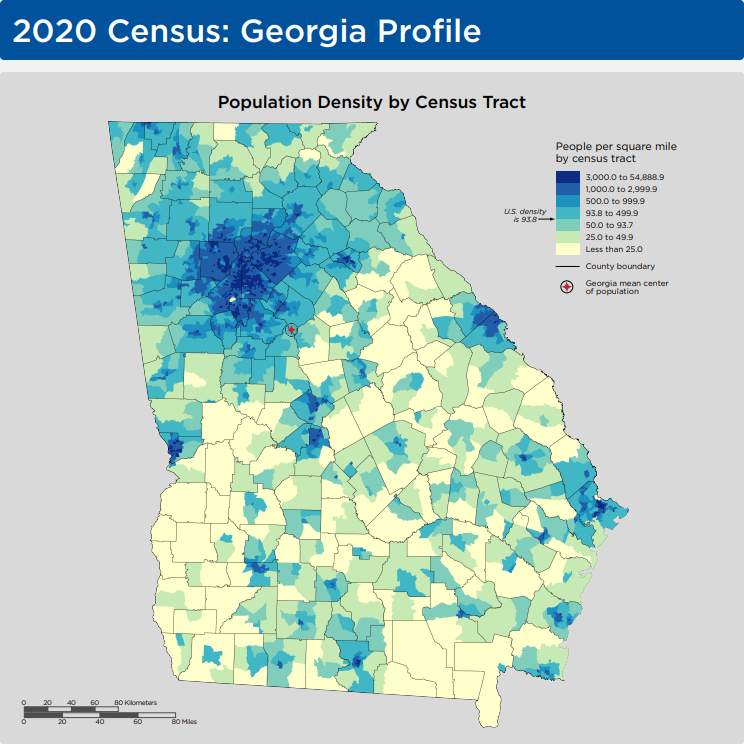 2020 Census: Georgia profile