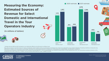 ECON SAS: Domestic vs. International Tour Operators	