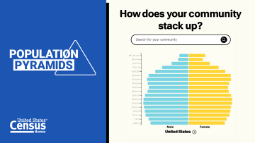 CEDSCI: Population Pyramids