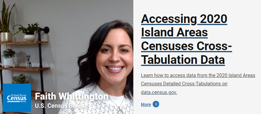 Accessing 2020 Island Areas Censuses Cross-Tabulation Data