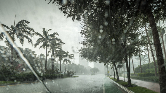 A streetscape in a tropical climate during a threatening storm