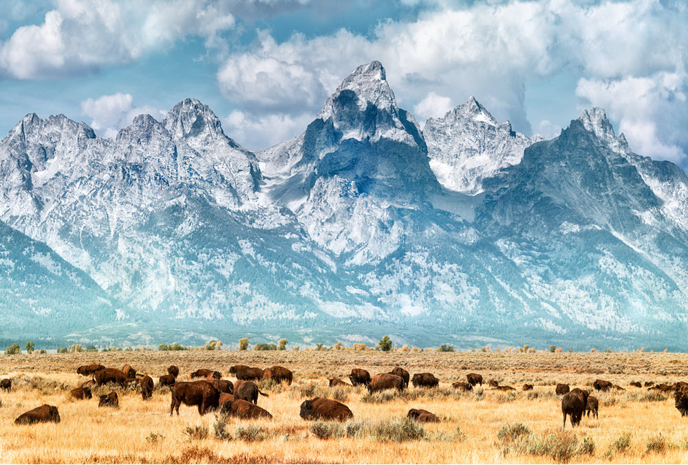 State Facts About Wyoming: The 44th State