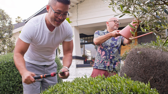 Men trimming bushes and trees outside of a house