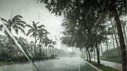 A streetscape lined by trees and buildings during a massive storm