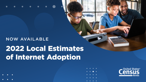 Local Estimates of Internet Adoption