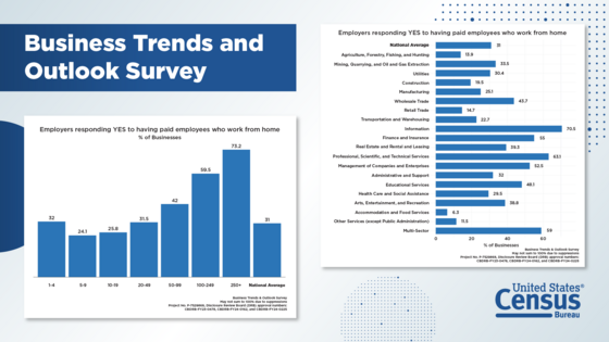 Business Trends and Outlook Survey