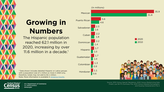 Growing In Numbers Hispanic Population Graphic