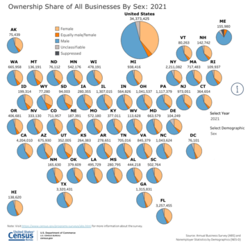 Ownership Share of all Businesses by Demographics