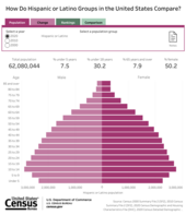 How Do Hispanic or Latino Groups in the United States Compare?