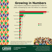 Growing in Numbers (The Hispanic Population in 2010 and 2020)