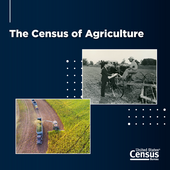 Census History November Homepage Agriculture and Farm Data