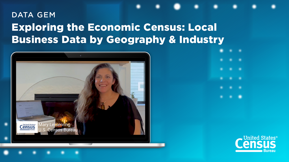 Data Gem - Exploring the Economic Census: Local Business Data by Geography and Industry