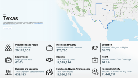 Texas population and demographics 2024