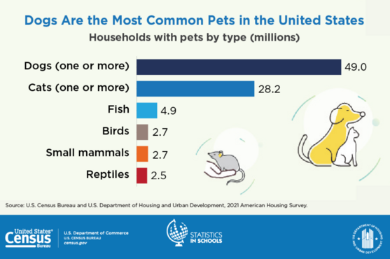 pet infographic