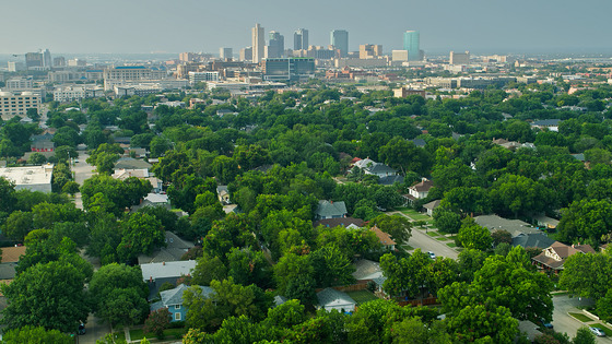 Aerial view of treetops with city buildings in the distance