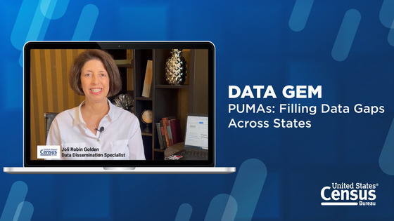 Data Gem: PUMAs: Filling Data Gaps Across States