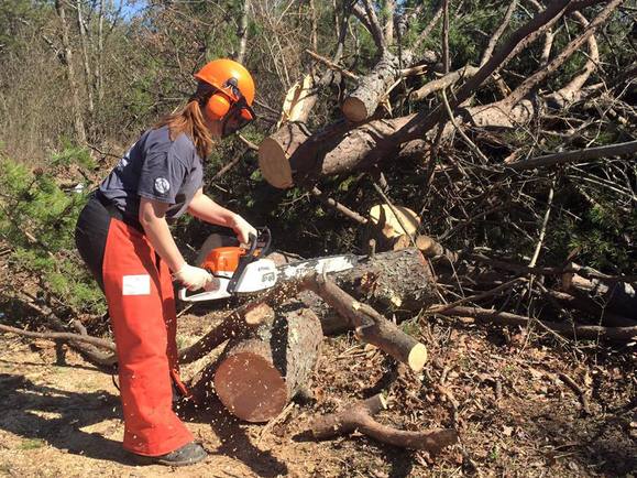 Virginia AmeriCorps Member cutting a tree.