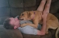 Pets for Patriots connects companion animals with military veterans.